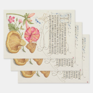 Gartenszene mit Blumen, Schmetterling und Pilz Geschenkpapier Set