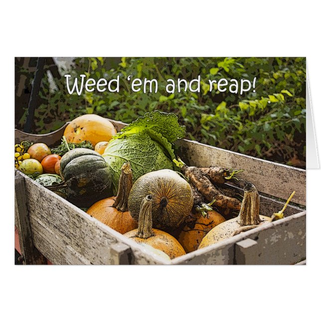 Gartenvegetationskarte (Vorderseite (Horizontal))