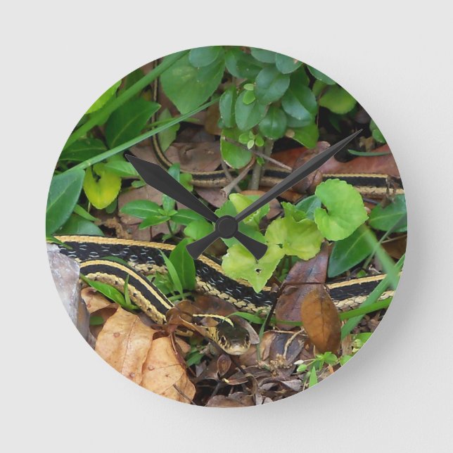 Garter Snake Wildlife Wall Clock Runde Wanduhr (Vorderseite)