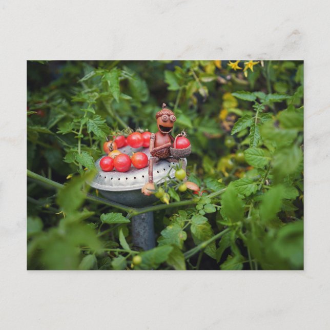 Gärtnerin mit Tomatos Postkarte (Vorderseite)