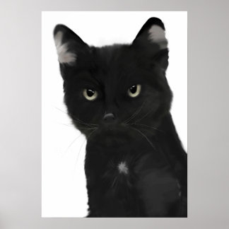 Gary die schwarze Katze Poster