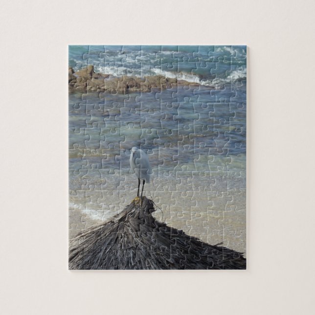 Garza Blanca im Ozean sitzend auf einer Hütte. (Vertikal)