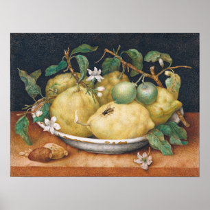 Garzoni - Stillleben mit Schüssel mit Zitronen Poster