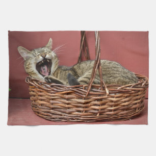 Gästeküche Katze Küchentuch