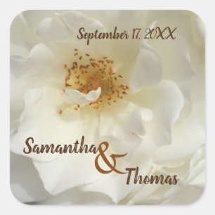Gastgeschenk Hochzeit Hübsch White Rose Foto Blume Quadratischer Aufkleber