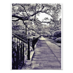 Gaston-Straße Fotodruck