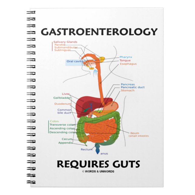 Gastroenterologie erfordert ein gesundes System Notizblock (Vorderseite)