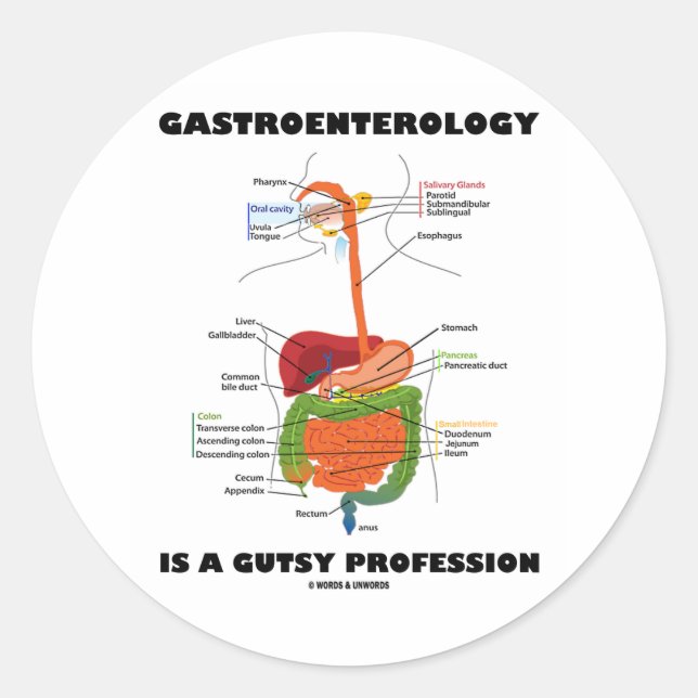 Gastroenterologie ist ein Gutsberuf Runder Aufkleber (Vorderseite)