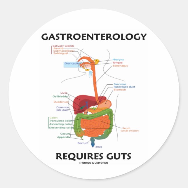 Gastroenterology Requires Guts (Verdauungssystem) Runder Aufkleber (Vorderseite)