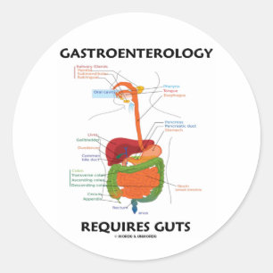 Gastroenterology Requires Guts (Verdauungssystem) Runder Aufkleber