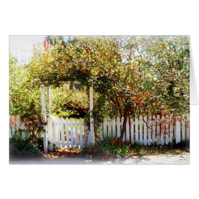 Gate, McCloud (Devant horizontal)