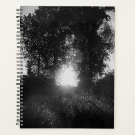 Gate to heaven  planer