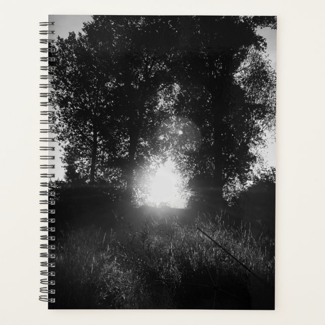 Gate to heaven  planer (Vorderseite)