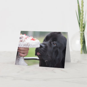 Gâteau d'anniversaire et carte de chien