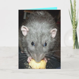 gâteau de mangeur de rat dumbo Carte d'anniversair