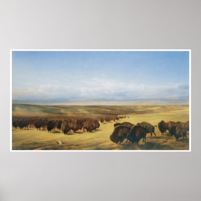 Gathering of the Herds Poster (Vorne)