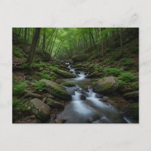 Gatlinburg, Tennessee Waldwasserfall Postkarte