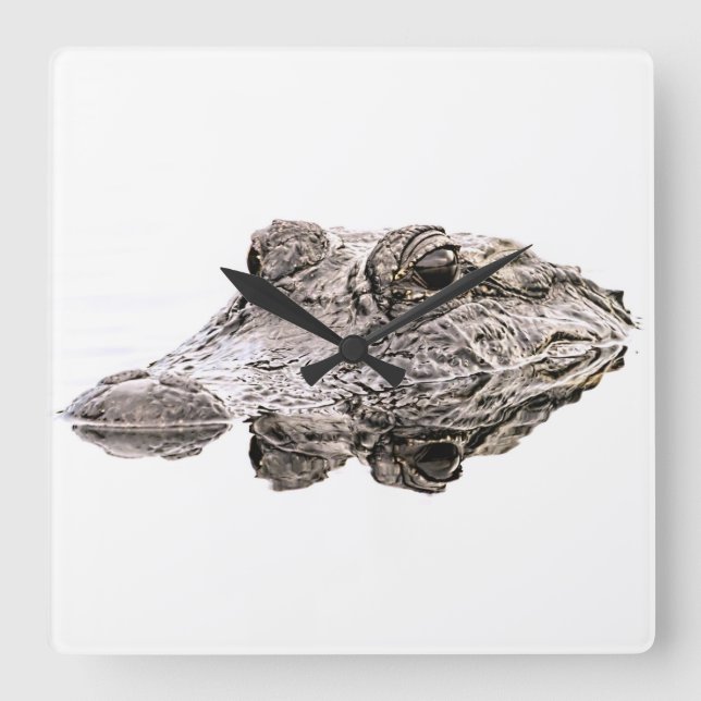 Gator Clock Quadratische Wanduhr (Vorderseite)