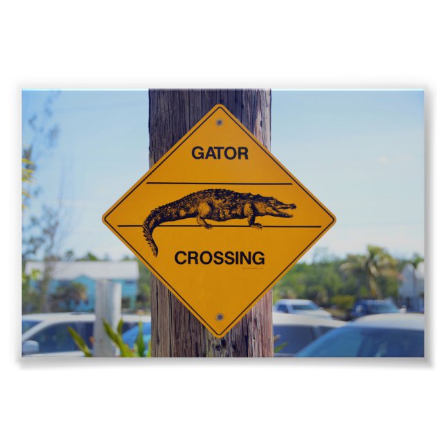 Gator Crossing Sign, Florida Fotodruck (Vorne)