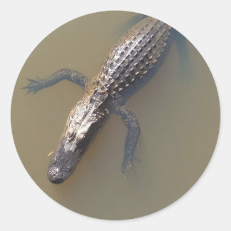 Gator Floating Runder Aufkleber