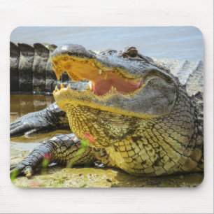 Gator. Gesichter Mousepad