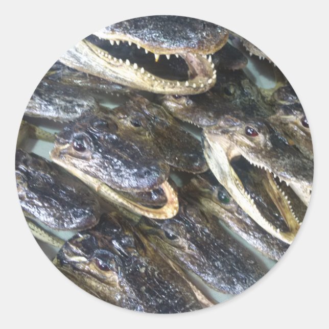 Gator Head Sticker (Vorderseite)