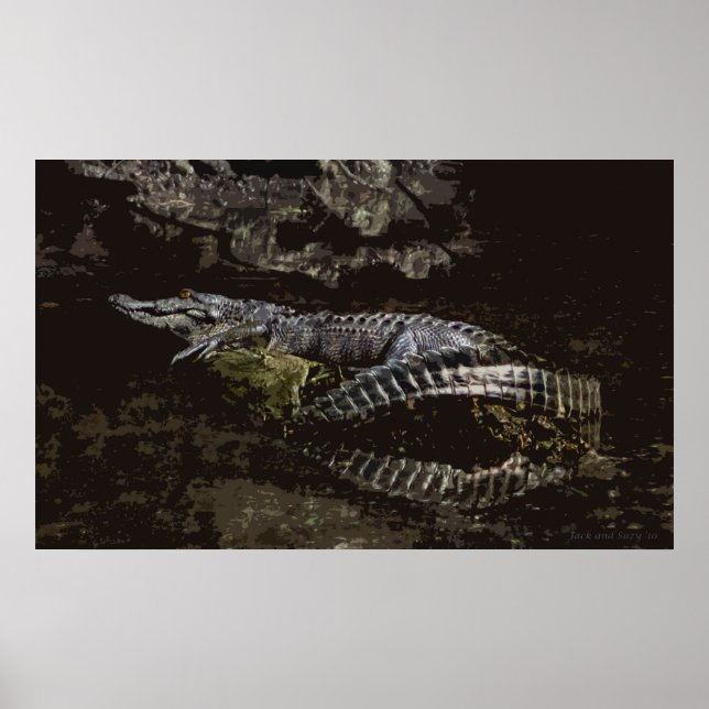 Gator Portrait Poster (Vorne)