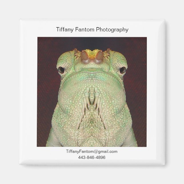 Gatsu Promo Magnet (Vorne)