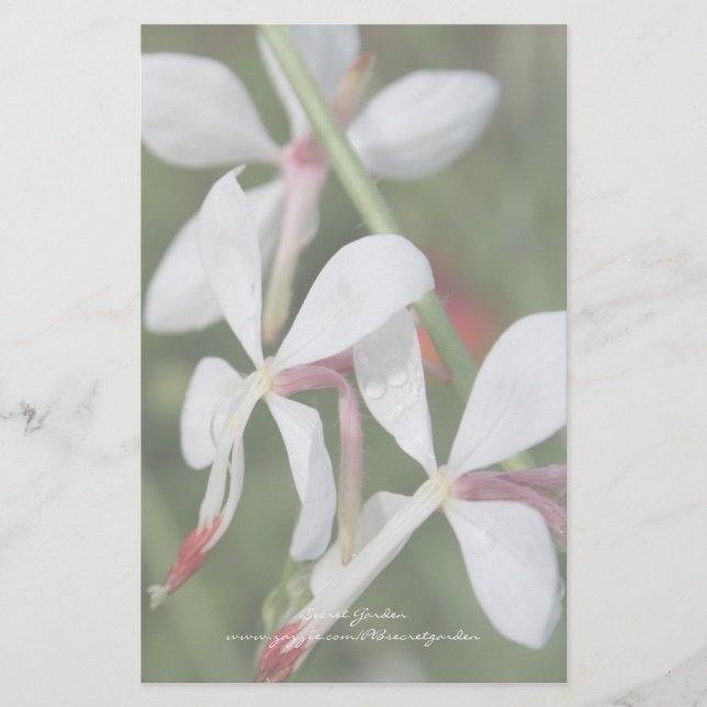 Gaura - Personalisierte Stationerie Briefpapier (Vorderseite)