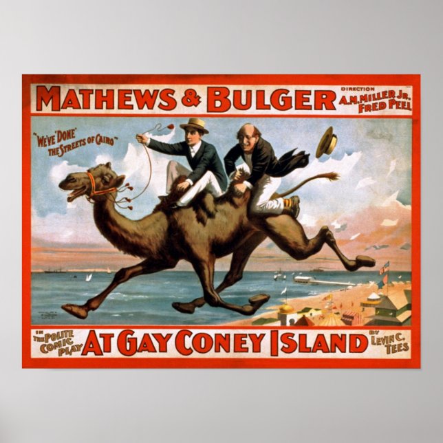Gay Coney Island Vintage Poster (Vorne)