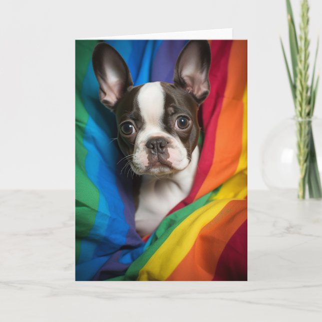 Gay Pride Boston Terrier Card Karte (Vorderseite)