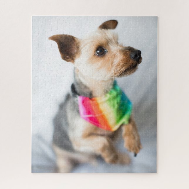 Gay Pride Rainbow Dog | Yorkshire Terrier (Vertikal)