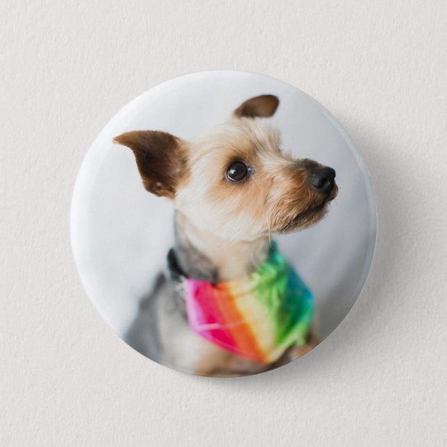 Gay Pride Rainbow Dog | Yorkshire Terrier Button (Vorderseite)