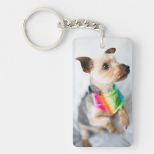 Gay Pride Rainbow Hund  Yorkshire Terrier Schlüsselanhänger