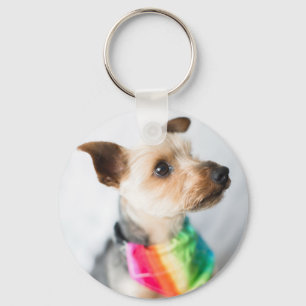 Gay Pride Rainbow Hund  Yorkshire Terrier Schlüsselanhänger