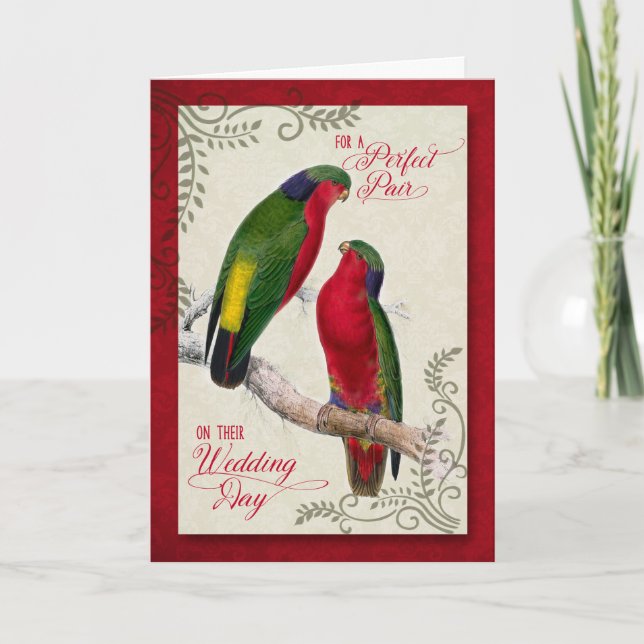 Gay Wedding Day Gratulation Pair of Lovebirds Karte (Vorderseite)