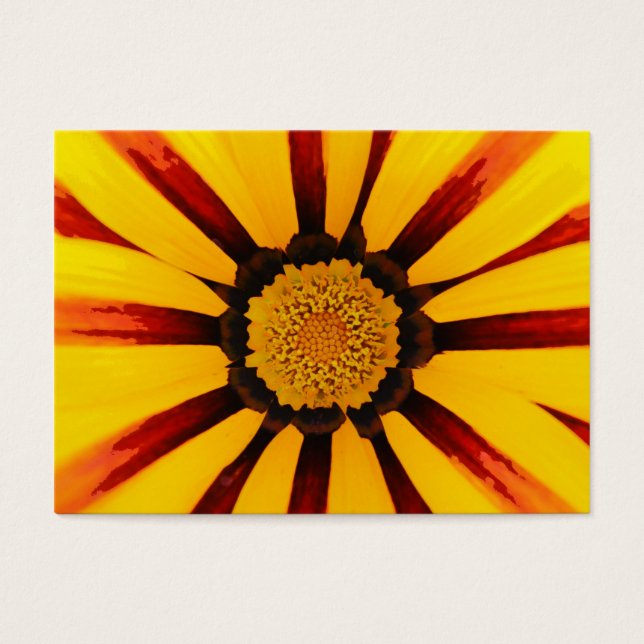 Gazania (Vorderseite)