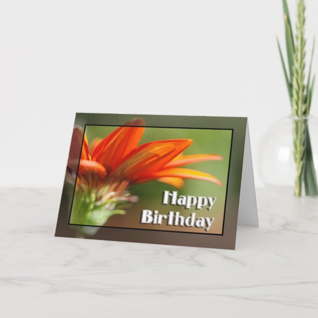 Gazania-alles Gute zum Geburtstag Karte (Vorderseite)