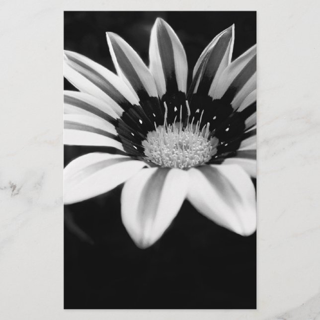 Gazania Briefpapier (Vorderseite)
