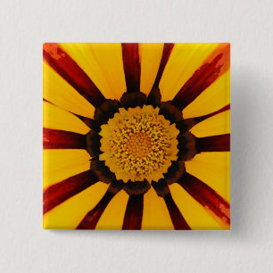 Gazania Button
