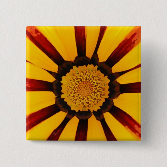 Gazania Button (Vorderseite)