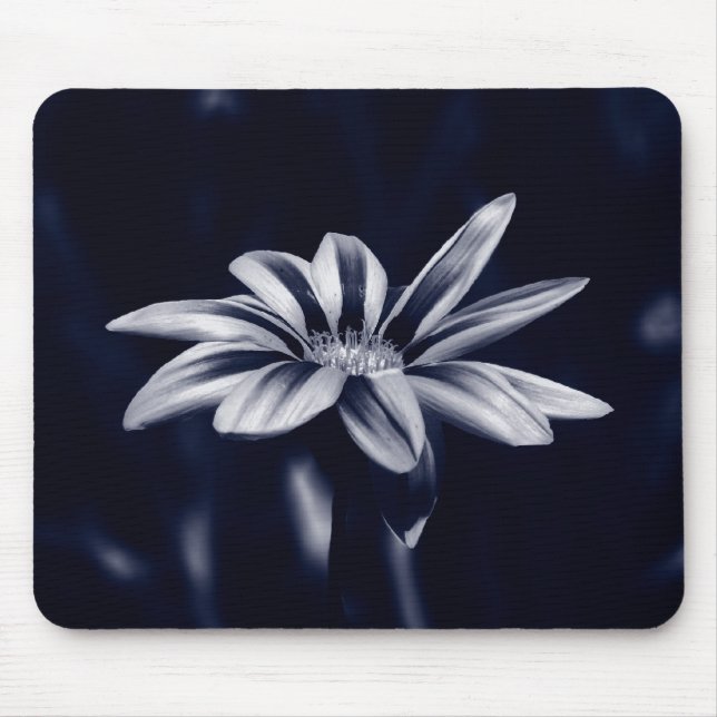 Gazania Mousepad (Vorne)