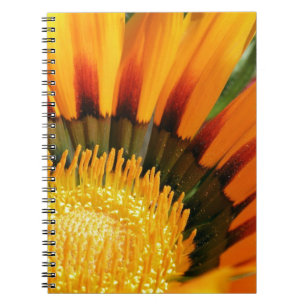 Gazania Notizblock