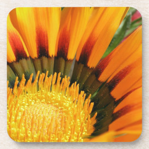 Gazania Untersetzer