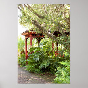 Gazebo Bois Poster de la forêt plante tropicale