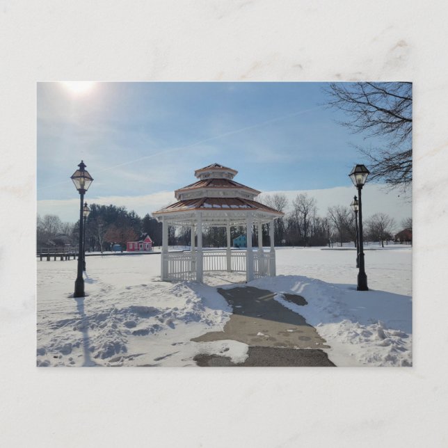Gazebo d'hiver Taylor Michigan Carte postale (Devant)