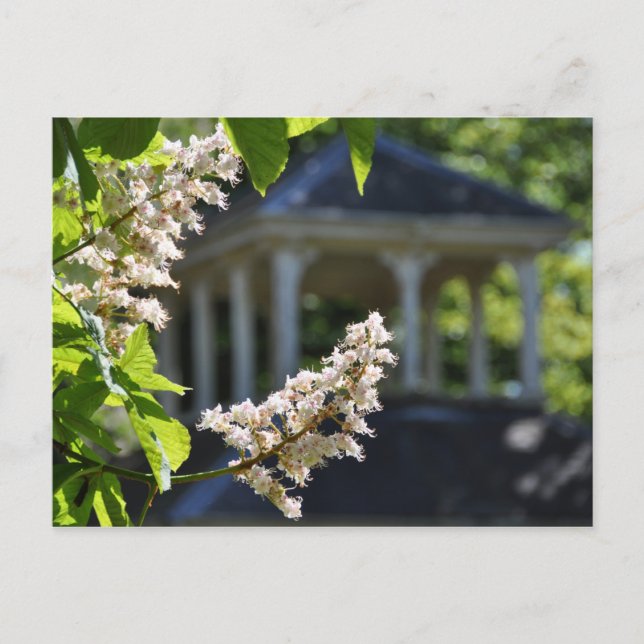 'Gazebo' Postkarte (Vorderseite)