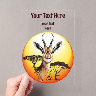 Gazelle African Antelope Wild Animal Acryleinladungen