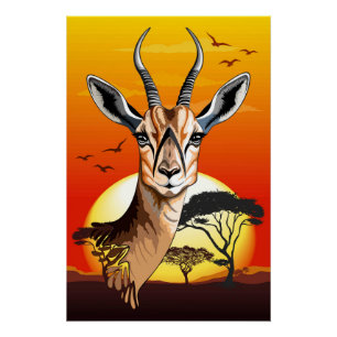 Gazelle African Antelope Wild Animal Poster