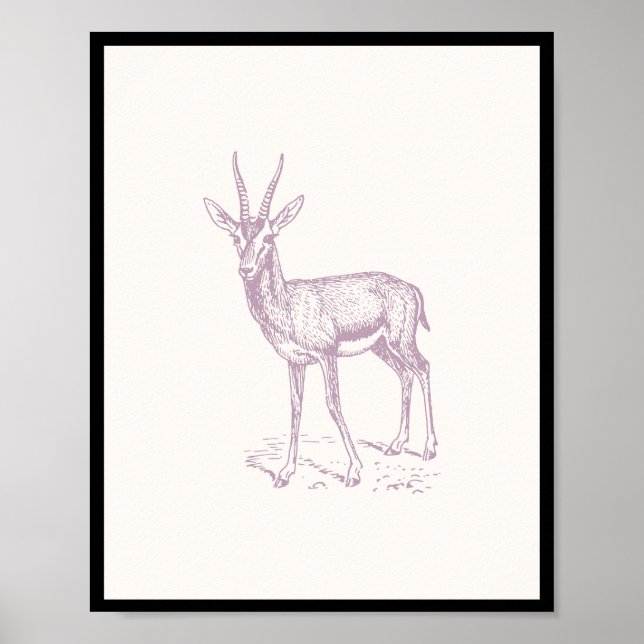 Gazelle Deer Poster (Vorne)